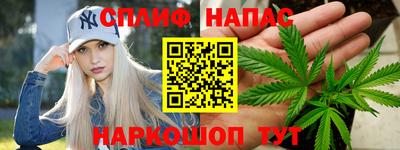 хмурый Бийск