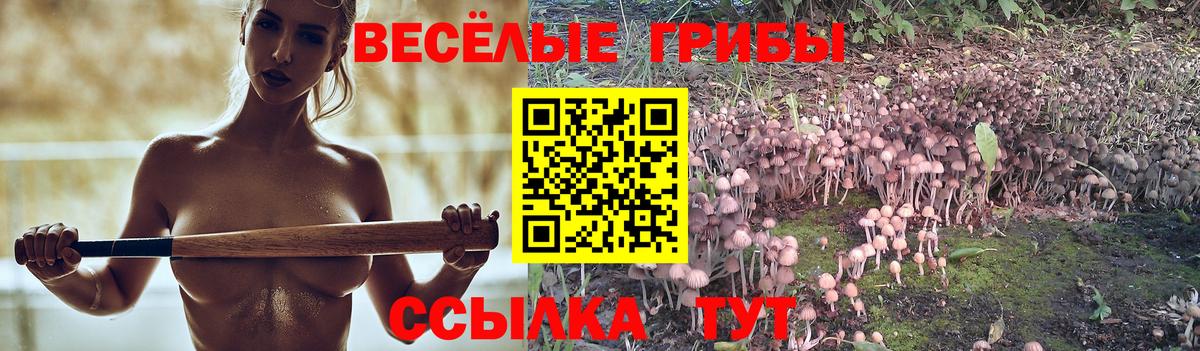 Псилоцибиновые грибы Magic Shrooms Губкин