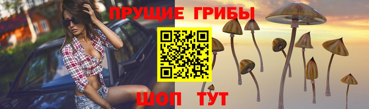 Галлюциногенные грибы Magic Shrooms  Губкин 